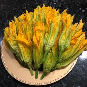 Meet your Posher, Jocelyn